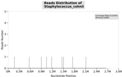 Staphylococcus cohnii infection diagnosed by metagenomic next generation sequencing in a patient on hemodialysis with cirrhotic ascites: a case report